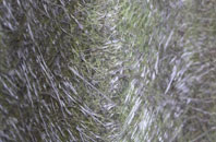 Yeovil fibreglass roof work